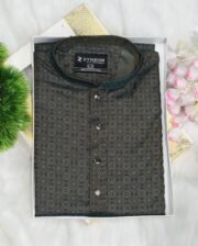 Print Cotton Panjabi, zynoor, premium panjabi